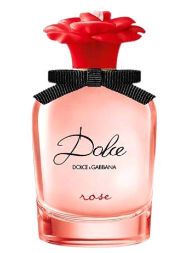 dolce gabbana in rose|dolce and gabbana dolce rose.